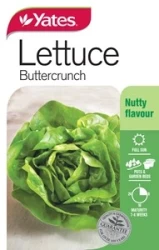 Lettuce - Buttercrunch Seeds
