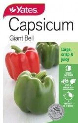 Capsicum - Giant Bell Seeds