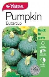 Pumpkin - Buttercup Seeds
